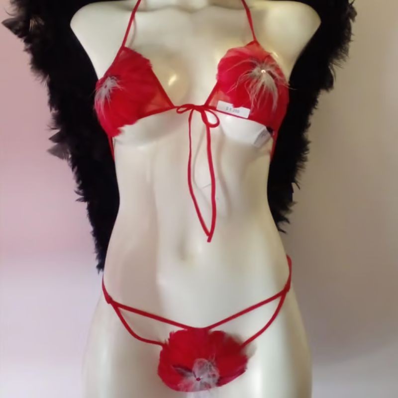 BRA Y TANGA DE PLUMAS ROJAS