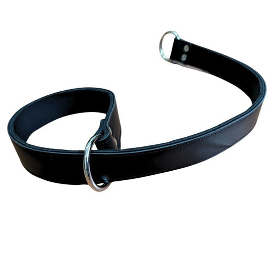 COLLAR DE CASTIGO 1"
