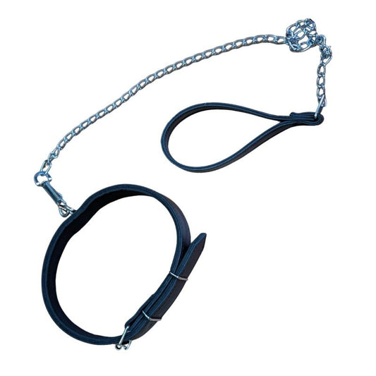 COLLAR DE PERRO EN PIEL MODELO LISO